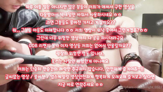 한국, 야동, 텔레그램, SB892, 관계, 꽐라, 속박, 유출본, 무료입장, 스트립쇼, 앞치마, 무료야동, 가스라이팅, Striptease