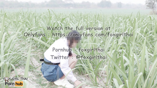 4k thai เย็ดนักเรียนในไร่อ้อย รถผ่านไปมาโคตรเสียว แตกใส่หน้าเต็มๆ