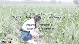 4k thai เย็ดนักเรียนในไร่อ้อย รถผ่านไปมาโคตรเสียว แตกใส่หน้าเต็มๆ