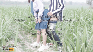 4k thai เย็ดนักเรียนในไร่อ้อย รถผ่านไปมาโคตรเสียว แตกใส่หน้าเต็มๆ