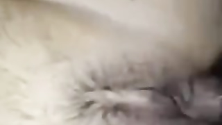 VIRAL NA MISIS! KAYA PALA NAGPATIRA SA KAPIT BAHAY KASI MAY BOLITAS