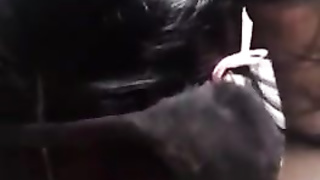 Kitty Cat Female Wants Some Milk