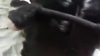 Kitty Cat Female Wants Some Milk