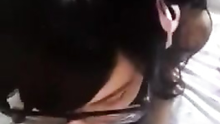 Kitty Cat Female Wants Some Milk