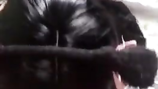 Kitty Cat Female Wants Some Milk