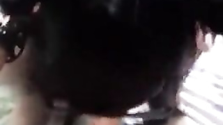 Kitty Cat Female Wants Some Milk