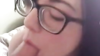 Kitty Cat Female Wants Some Milk