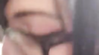 Kitty Cat Female Wants Some Milk