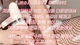 스토탈, 배드민턴, 뉴스, 한국, 야동, 텔레그램, UB892, 임산부, 성향, 삼촌, 언니, 여관바리