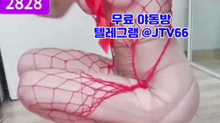 텔레그램, JTV66, 측위, 딜도머신, 흥분, 와이프, 새엄마, 디엣, 일진, 왁싱, 쓰리노, Machine, 한국