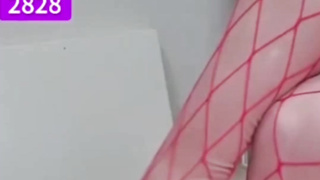 텔레그램, JTV66, 측위, 딜도머신, 흥분, 와이프, 새엄마, 디엣, 일진, 왁싱, 쓰리노, Machine, 한국