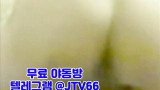 왕가슴, 국노, 페이스시팅, 3P, 한국, 야동, 텔레그램, JTV66, 인플루언서, 약혐, 파이즈리, 방석집, 무삭제