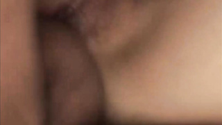 왕가슴, 국노, 페이스시팅, 3P, 한국, 야동, 텔레그램, JTV66, 인플루언서, 약혐, 파이즈리, 방석집, 무삭제