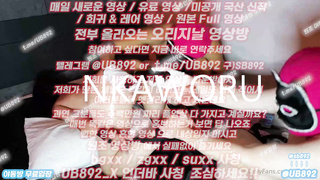 1946 한국, 야동, 텔레그램, UB892, 오줌받이, 스폰녀, 팬트리, 하나간다, 인스타라이브, 코스프레, 킥복싱, 석궁수