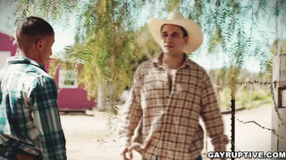 Andrew Miller loves fucking Jimmy West