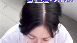 텔레그램, JTV66, 서양야동, 교미, 섹톱워치, 사디, 지루, 딸딸이, 성행위, 티팬티, 남매, Riding, 한국