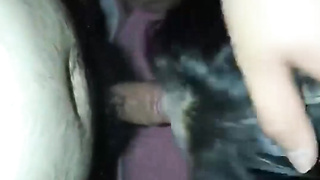 씹상타치, 하나간다, 펠라치오, 폰헙, redroom, 한국, 야동, 텔레그램, JTV66, 오피, 뉴토끼, 하체, 윗집