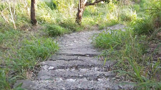 Latina Hot Babe Sex With Stranger In Public Park