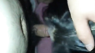 텔레그램, JTV66, 따먹기, 스쿼트, 자위, 낙태, 야한, 텐프로, 유부녀, 여관바리, 머신, Masturbation, 한국