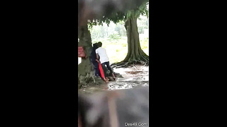 Desi Indian Couple Outdoor sex