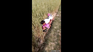 Indian Village couple outdoor sex Join Our telegram channel @rehana980