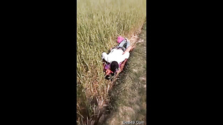 Indian Village couple outdoor sex Join Our telegram channel @rehana980