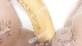 2452 트위터 밍키 컵으로 쑤시고 바나나로 쑤시고 씹질까지 풀버전은 텔레그램 UB892 Korea 한국 최신 국산 성인방 야동방 빨간방 온리팬스 트위터