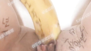 2452 트위터 밍키 컵으로 쑤시고 바나나로 쑤시고 씹질까지 풀버전은 텔레그램 UB892 Korea 한국 최신 국산 성인방 야동방 빨간방 온리팬스 트위터