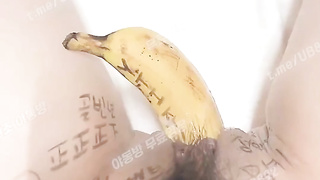 2452 트위터 밍키 컵으로 쑤시고 바나나로 쑤시고 씹질까지 풀버전은 텔레그램 UB892 Korea 한국 최신 국산 성인방 야동방 빨간방 온리팬스 트위터