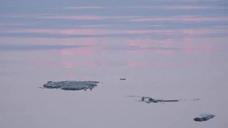 Japanese Model Elizabeth Pic Shooting two