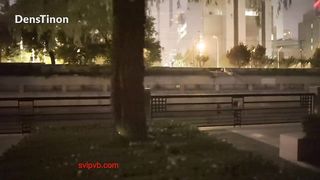 Qinweiyingjie Park Displaying