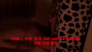 침대, 소프트, 애무, 에이브이, Orgasm, 한국, 야동, 텔레그램, JAP58, 공원, 에이스녀, 정상위, 주인집 2