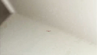 텔레그램, JAP58, 오메글, 따먹는, 여사친, 우유, 커플벗방유출, 역삽, 자위동영상, 노출증, 빽보, Telegram, 한국э