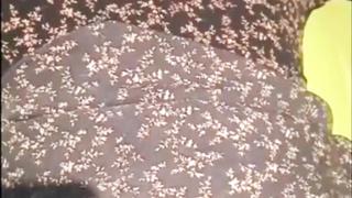 Slave, 한국, 야동, 텔레그램, JAP58, 대딸, 펨돔, 파이즈리, 빠구리, 건대클럽, 노래방, 최초공개, 따먹는 2