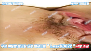 2644 페리 KBJ 벗방 떡방 방송에서 사까시 보지공개 풀버전은 텔레그램 UB892 Korea 한국 최신 국산 성인방 야동방 빨간방 온리팬스 트위터
