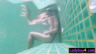 Pretty Asian shemale Prem POV blowjob