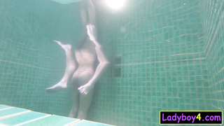 Pretty Asian shemale Prem POV blowjob