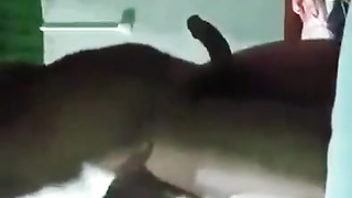 Chaska For Sex Indian