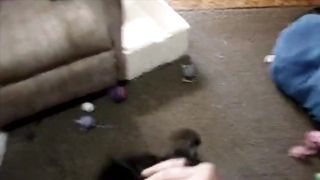 PEEING ON CHINESE GRANDMOTHERS!