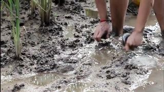 VY FISCHEN IN KAMBODSCHA