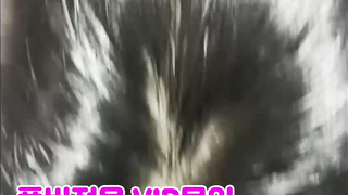 Riding, 한국, 야동, 텔레그램, JAP58, 브라자, 노콘질싸, 암캐, 캣체위, 메이드, 커플, av배우, 남매 2