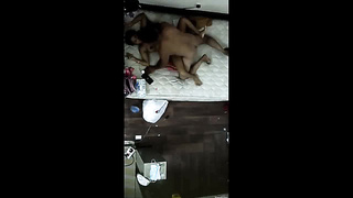 Desi Indian sex for more video join our telegram channel @rehana980 11