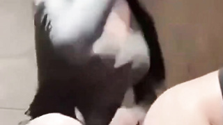 한국, 야동, 텔레그램, JAP58, 펠라치오, 얼짱, 하숙, 마피아티비, 동생친구, 유산, 섹스파티, 라이키야동, 페트리온유출