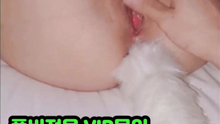 유사성행위, 폰섹스, 짝짓기, 목욕탕, 브컨, Vibrator, 한국, 야동, 텔레그램, JAP58, 폭딸, 강의실, 브라자 3