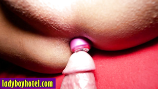 Perfect ass shemale blowjob and anal