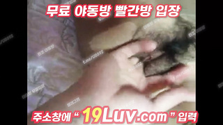 3489 하고싶어 자기야 생크림 제조기 텔레 UB892