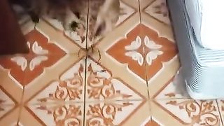 Anorexic Bangkok Doll Flashes her Supah Slender Figure