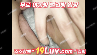 3548 유미냥 란세당(세란) 왁싱했네 ㅎㅎ 텔레 UB892