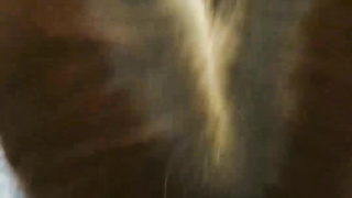 무료VIP.com 강의실에서 여사친이랑 한국야동 국산야동 성인커뮤니티 무료야동방 야동방 korea 무료야동 트위터야동 쉬멜 트젠 조건만남 섹트