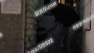 3894 진성 네토 페트리온 길거리 만취녀 텔레 UB892